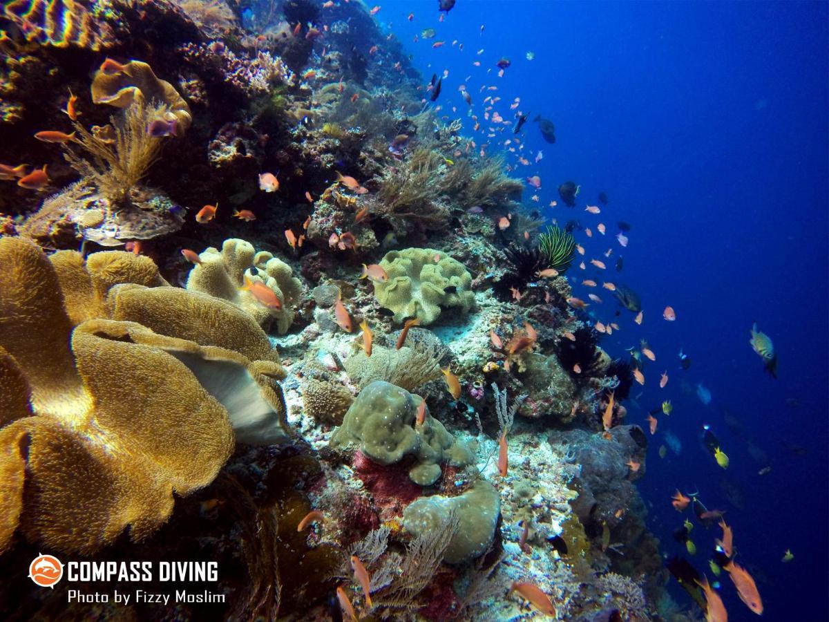 Compass Diving Resort Beloi Exteriér fotografie